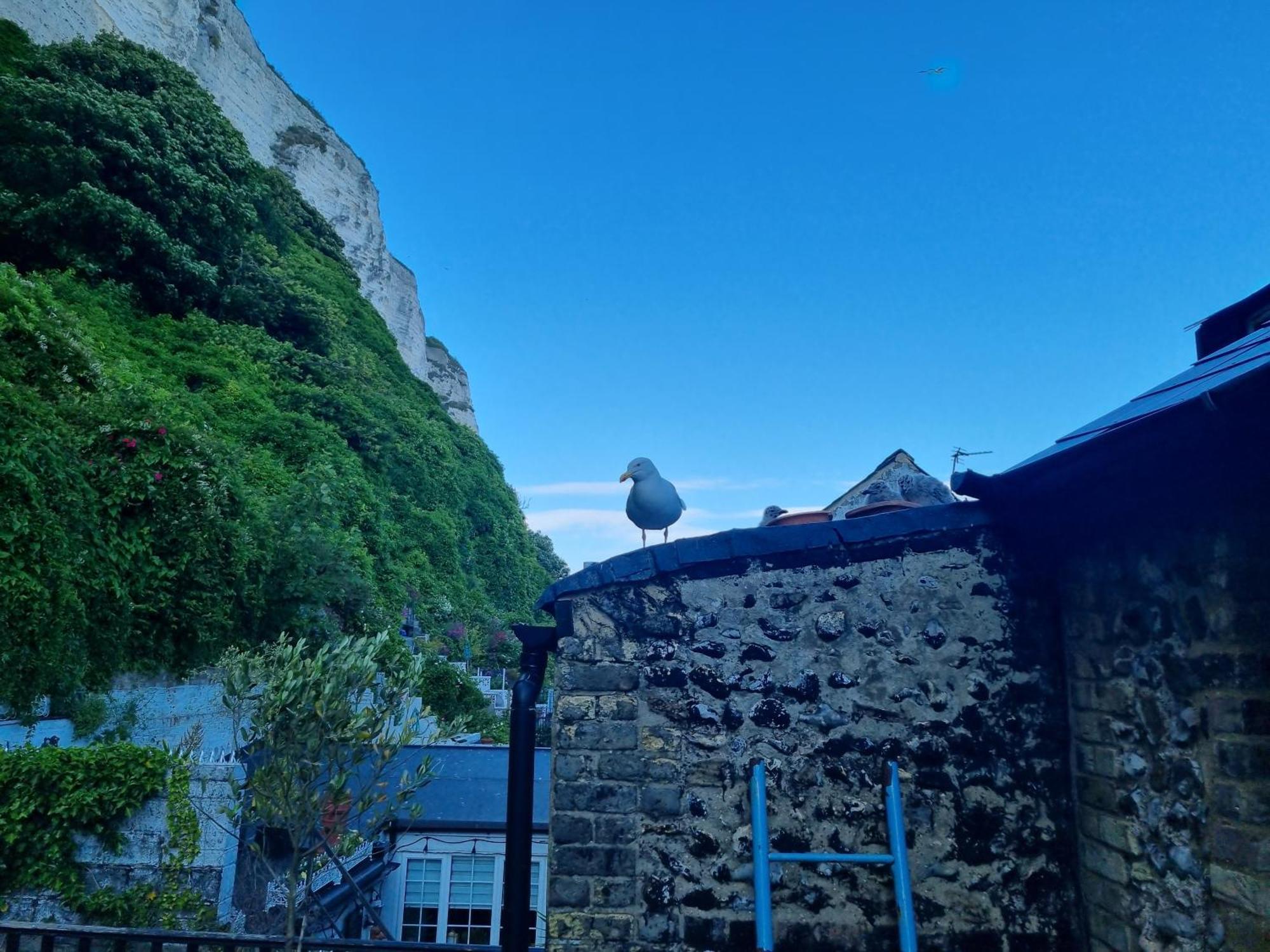 First And Last Youth Hostel Dover Exteriér fotografie